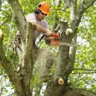 Business 4 image BRONX SNOW REMOVAL PLOWING AND SHOVELING Snow Removal Service in Bronx NY