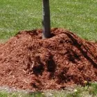 Business 2 image BUCKNER'S CONTRACTING LLC Fence Contractors in Huntsville TX