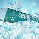 Business 10 image BUDDY'S CBD WELLNESS in Oklahoma City OK