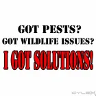 Business 3 image BUG YOU NOT PEST CONTROL AND RODENT REMOVAL Wildlife Nuisance Control in Carrollton TX