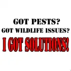 Business 4 image BUG YOU NOT PEST CONTROL AND RODENT REMOVAL Wildlife Nuisance Control in Carrollton TX