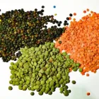 Business 4 image BUSY VEGANISTA in Houston TX