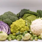 Business 6 image BUSY VEGANISTA in Houston TX