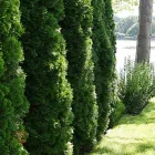 Business 2 image C&R LANDSCAPING MASONRY Landscaping & Lawn Services in Norwalk CT