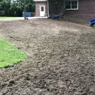 Business 4 image CABALLEROS LANDSCAPING Tree Trimming Service in Indianapolis IN