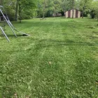 Business 5 image CABALLEROS LANDSCAPING Tree Trimming Service in Indianapolis IN