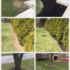 Business 9 image CABALLEROS LANDSCAPING Tree Trimming Service in Indianapolis IN