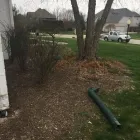 Business 10 image CABALLEROS LANDSCAPING Tree Trimming Service in Indianapolis IN