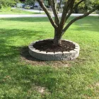 Business 11 image CABALLEROS LANDSCAPING Tree Trimming Service in Indianapolis IN