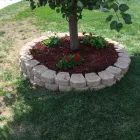 Business 13 image CABALLEROS LANDSCAPING Tree Trimming Service in Indianapolis IN