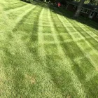 Business 14 image CABALLEROS LANDSCAPING Tree Trimming Service in Indianapolis IN