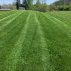 Business 15 image CABALLEROS LANDSCAPING Tree Trimming Service in Indianapolis IN