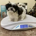 Business 4 image CADENCE DESIGN SYSTEMS Computer Electronics Recycling in San Jose CA