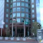 Business 1 image CAFE NUOVO Italian Restaurants in Providence RI