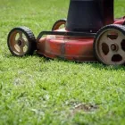 Business 1 image CALI BREEZE LANDSCAPE SERVICES Bush Planting in Arlington TX