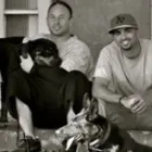 Business 8 image CALI K9 SAN FRANCISCO in San Francisco CA