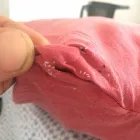 Business 1 image CALIFORNIA BED BUG EXTERMINATORS Pest Control Products in Sacramento CA