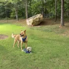 Business 19 image CAMDEN STOCKBRIDGE APARTMENTS in Stockbridge GA