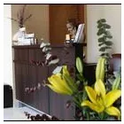 Business 1 image CANELA SALON & SPA Hair Removal in Bronx NY