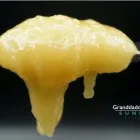 Business 13 image CANNABUS DISPENSARY oklahoma dispensary in Oklahoma City OK