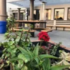 Business 2 image CANYON AUTO SPA Interior Car Wash in Anaheim Hills CA