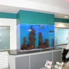 Business 14 image CANYON AUTO SPA Interior Car Wash in Anaheim Hills CA