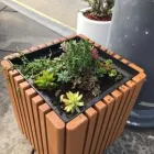 Business 19 image CANYON AUTO SPA Interior Car Wash in Anaheim Hills CA