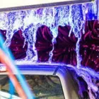Business 7 image CARISMA WASH in Houston TX