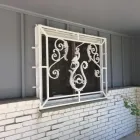 Business 1 image CARL'S CUSTOM IRONWORKS Security Doors in Colorado Springs CO