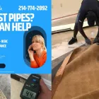 Business 10 image CARPET CLEANING DALLAS TX in Dallas TX