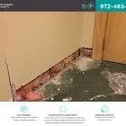 Business 7 image CARPET CLEANING IRVING TX in Irving TX