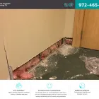 Business 4 image CARPET CLEANING IRVING TX Upholstery Cleaners in Irving TX