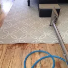 Business 2 image CARPET CLEANING PERRY HALL MD Upholstery Cleaning in Nottingham MD