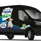 Business 3 image CARPET CLEANING PROS TUCSON Personal & Household Goods Repair in Tucson AZ