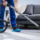 Business 1 image CARPET CLEANING SUNNY ISLES BEACH FL Carpet Cleaning in Sunny Isles Beach FL