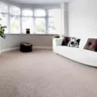 Business 1 image CARPET SERVICES UNLIMITED BY BRAD HAMEL Personal & Household Goods Repair in Indianapolis IN