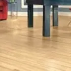 Business 2 image CARPET SERVICES UNLIMITED BY BRAD HAMEL Personal & Household Goods Repair in Indianapolis IN