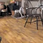 Business 3 image CARPET SERVICES UNLIMITED BY BRAD HAMEL Personal & Household Goods Repair in Indianapolis IN