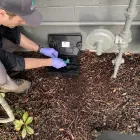 Business 2 image CASCADE PEST CONTROL - BELLEVUE WA in Bellevue WA