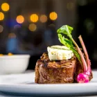 Business 3 image CASSIS ST. PETE in Saint Petersburg FL