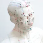 Business 4 image CATALINA ACUPUNCTURE Herbalists & Herbal Products in Tucson AZ