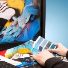 Business 1 image CATDI PRINTING large format in Richmond TX