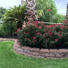 Business 2 image CDR IRRIGATION & LANDSCAPES in San Antonio TX