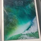 Business 24 image CELL N COMP REPAIRS Virus Removal in Chicago IL