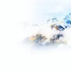 Business 1 image CENTRAL AIR & REPAIR COMPANY in Houston TX