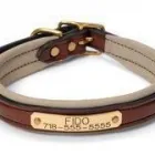 Business 1 image CENTRAL KENTUCKY TACK AND LEATHER in Lexington KY