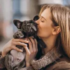 Business 2 image CENTRAL PARK PUPPIES Pet Stores in Yonkers NY