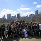 Business 3 image CENTRAL PARK TOURS Bicycle Rental in New York NY