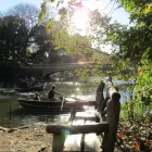 Business 4 image CENTRAL PARK TOURS Bicycle Rental in New York NY