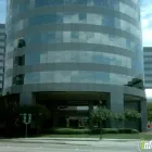 Business 1 image CGI Internet Products Services in Dallas TX